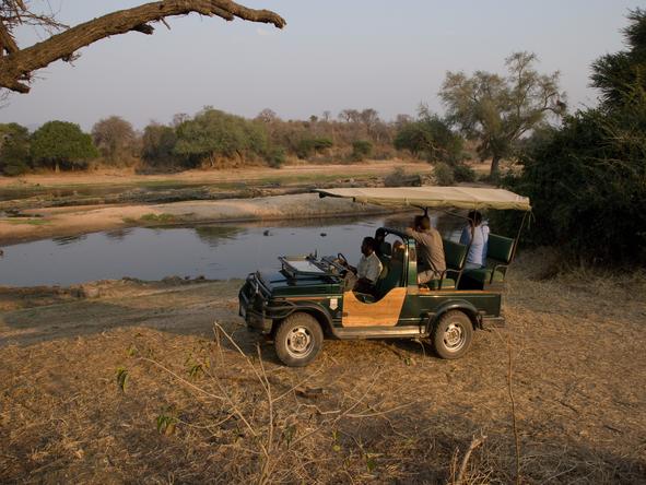 Ruaha River Lodge - Game Drive 